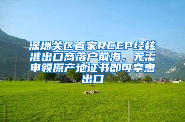 深圳关区首家RCEP经核准出口商落户前海，无需申领原产地证书即可享惠出口