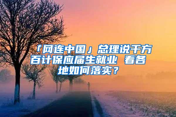 「网连中国」总理说千方百计保应届生就业 看各地如何落实？