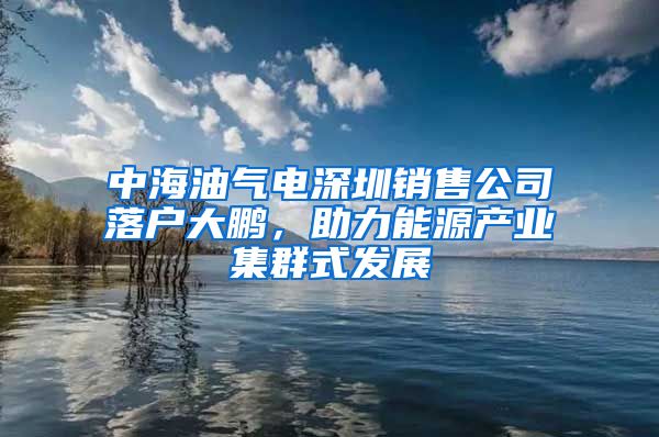 中海油气电深圳销售公司落户大鹏，助力能源产业集群式发展