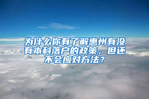 为什么你有了解惠州有没有本科落户的政策，但还不会应对方法？