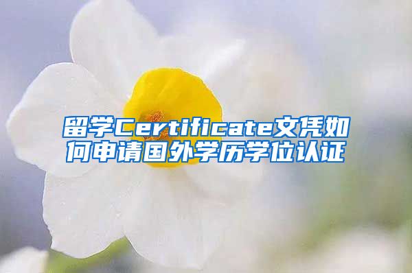 留学Certificate文凭如何申请国外学历学位认证
