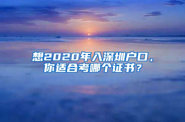 想2020年入深圳户口，你适合考哪个证书？